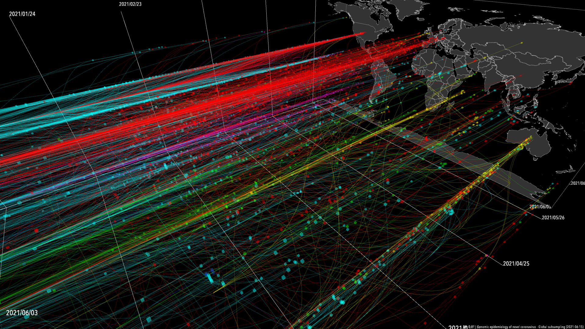 3D phylogeny of SARS-CoV-2